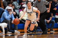Cedar Crest vs. Manheim Township in the L-L League girls basketball championship game at Manheim Township High School in Lancaster on Friday, February 13, 2026. Mark Palczewski Photo.