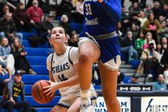 Cedar Crest vs. Manheim Township in the L-L League girls basketball championship game at Manheim Township High School in Lancaster on Friday, February 13, 2026. Mark Palczewski Photo.