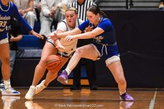 Cedar Crest vs. Manheim Township in the L-L League girls basketball championship game at Manheim Township High School in Lancaster on Friday, February 13, 2026. Mark Palczewski Photo.