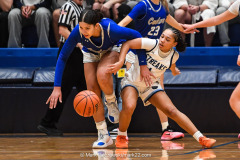 Cedar Crest vs. Manheim Township in the L-L League girls basketball championship game at Manheim Township High School in Lancaster on Friday, February 13, 2026. Mark Palczewski Photo.