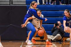 Cedar Crest vs. Manheim Township in the L-L League girls basketball championship game at Manheim Township High School in Lancaster on Friday, February 13, 2026. Mark Palczewski Photo.