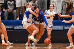 Cedar Crest vs. Manheim Township in the L-L League girls basketball championship game at Manheim Township High School in Lancaster on Friday, February 13, 2026. Mark Palczewski Photo.