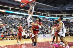 2018-19 PIAA Boys 5A, Moon vs. Archbishop Wood