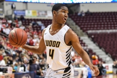 2018-19 PIAA Boys 5A, Moon vs. Archbishop Wood