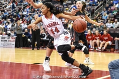 2018-19 PIAA Girls 5A, Archbishop Carroll vs. Chartiers Valley