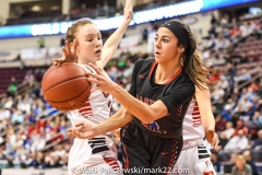 2018-19 PIAA Girls 5A, Archbishop Carroll vs. Chartiers Valley