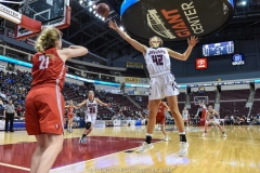 2018-19 PIAA Boys 5A, Moon vs. Archbishop Wood