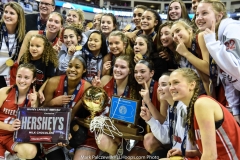 2018-19 PIAA Boys 5A, Moon vs. Archbishop Wood
