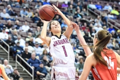 2018-19 PIAA Boys 5A, Moon vs. Archbishop Wood