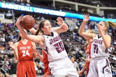 2018-19 PIAA Boys 5A, Moon vs. Archbishop Wood