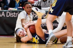 District 3 Girls Championship, E. York vs. Lancaster Catholic