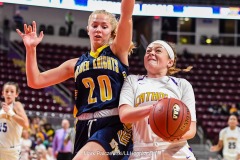 District 3 Girls Championship, E. York vs. Lancaster Catholic