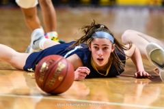 District 3 Girls Championship, E. York vs. Lancaster Catholic