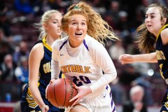 District 3 Girls Championship, E. York vs. Lancaster Catholic