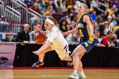 District 3 Girls Championship, E. York vs. Lancaster Catholic