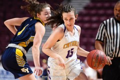 District 3 Girls Championship, E. York vs. Lancaster Catholic