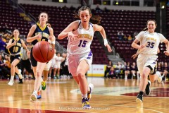 District 3 Girls Championship, E. York vs. Lancaster Catholic