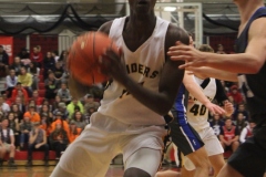 IMG_0512