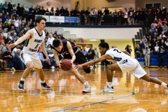 2018-19 L-L League Boys' Championship, Warwick vs. Manheim Twp