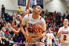 2024 L-L League Girls Basketball Championship