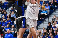 2023 L-L League Semi, Manheim Central vs. Cedar Crest
