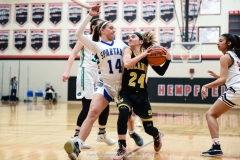2018-19 L-L League Basketball All-Star Game