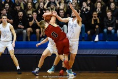 2020 L-L Boys Basketball Championship,  Warwick vs. Cedar Crest