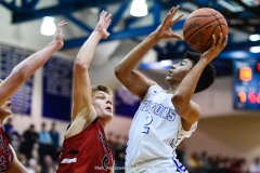 2020 L-L Boys Basketball Championship,  Warwick vs. Cedar Crest