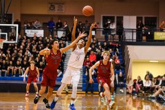 2020 L-L Boys Basketball Championship,  Warwick vs. Cedar Crest
