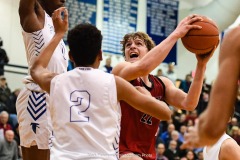 2020 L-L Boys Basketball Championship,  Warwick vs. Cedar Crest